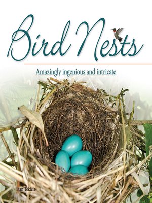 cover image of Bird Nests
